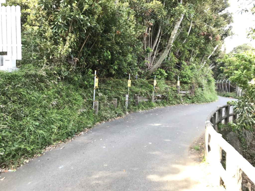 新井城の油壷湾側の道