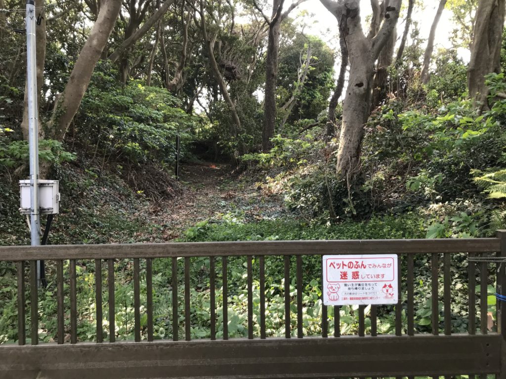 新井城城址の空堀